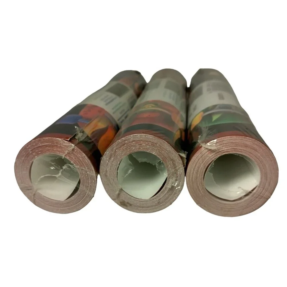 Chesapeake Skateboard Wallpaper Border 3 Rolls 45 Feet Total Skate Skater 8